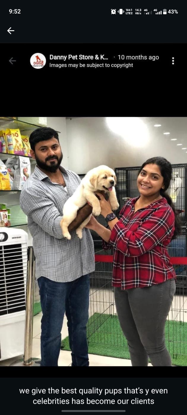 Celebrity with Labrador puppy at Danny Pet Store