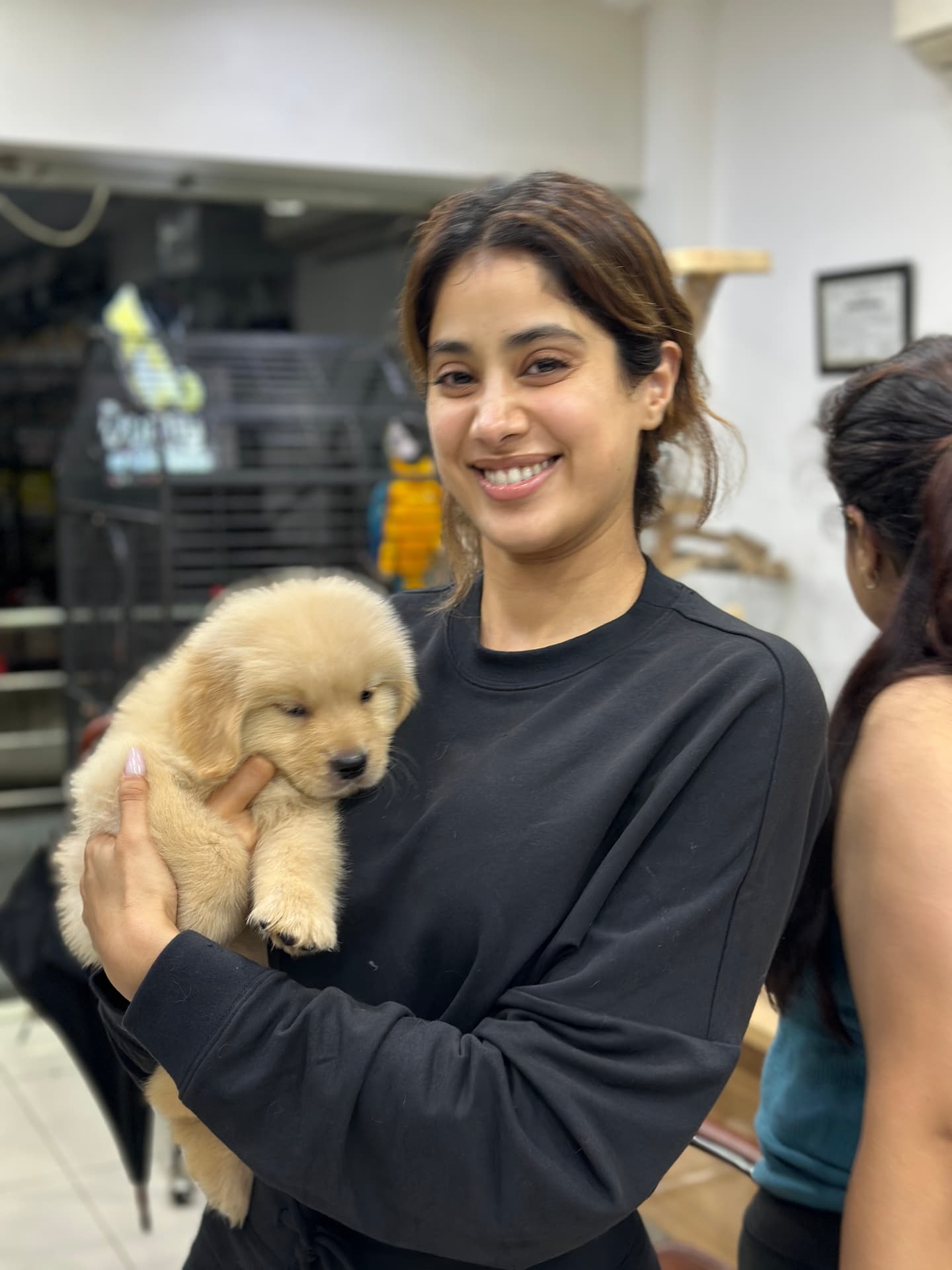 Celebrity picking up their Golden Retriever puppy at Danny Pet Store