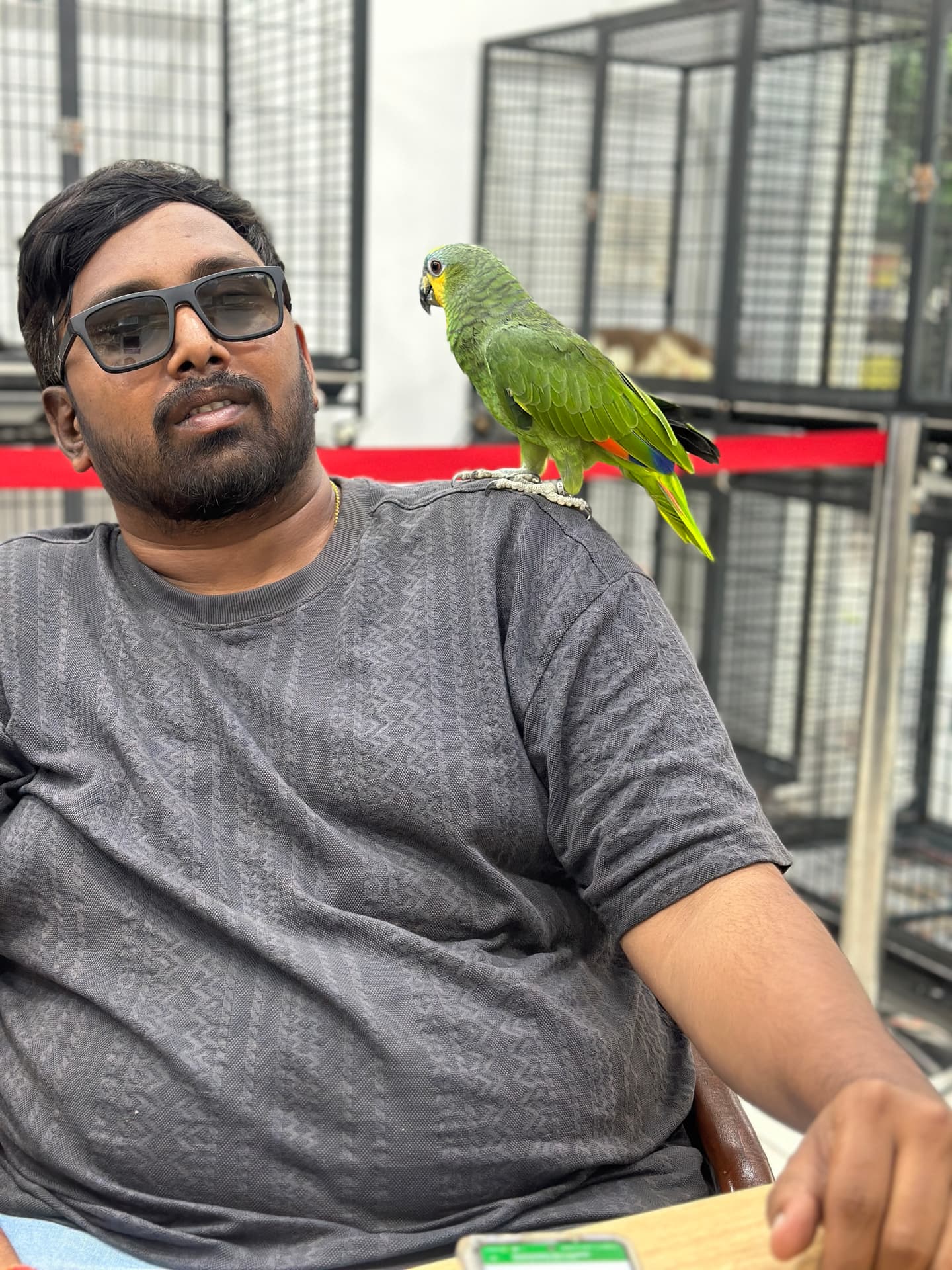 Amazon Parrot at Danny Pet Store - Photo 1