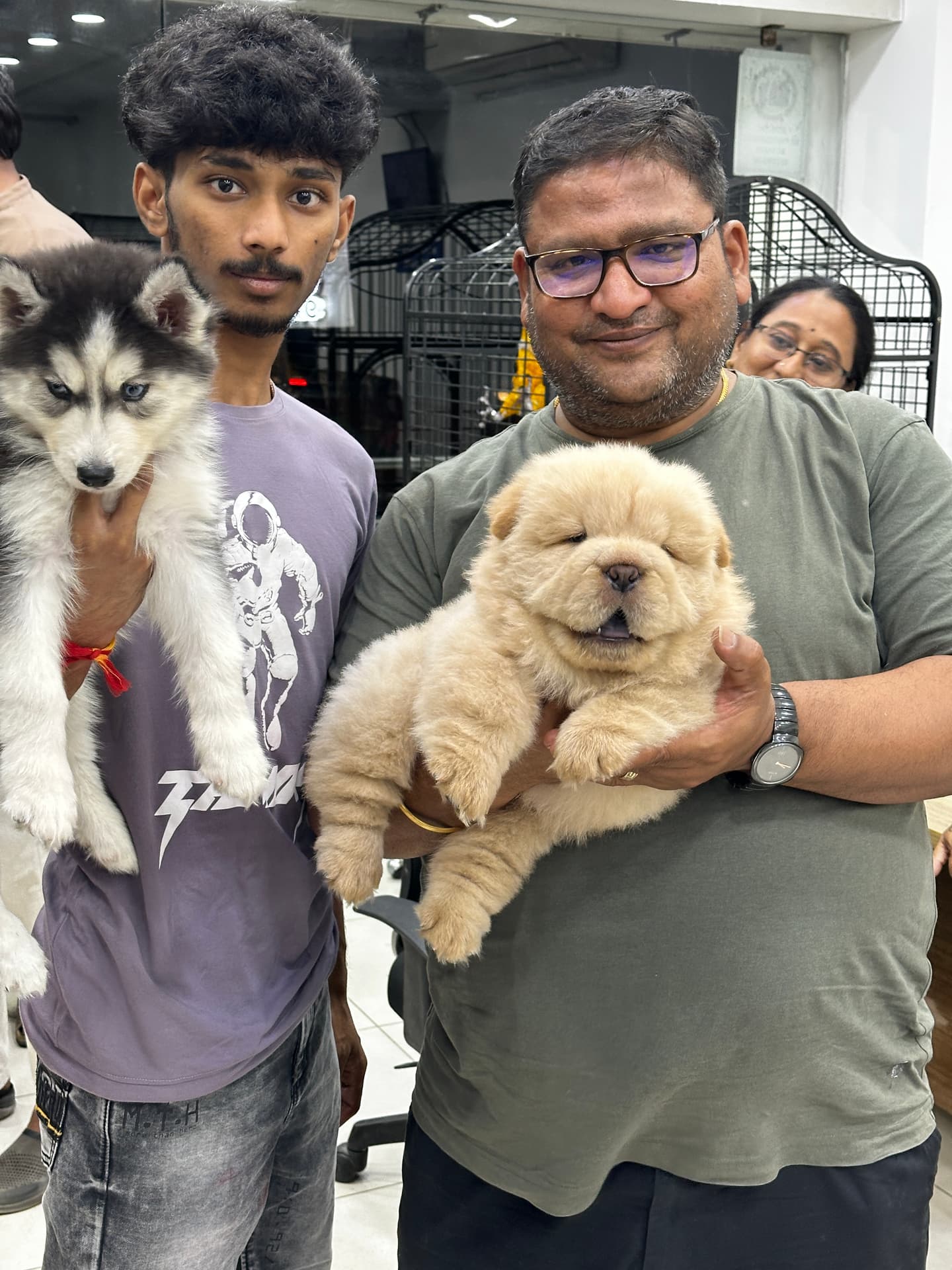 Chow Chow at Danny Pet Store - Photo 2