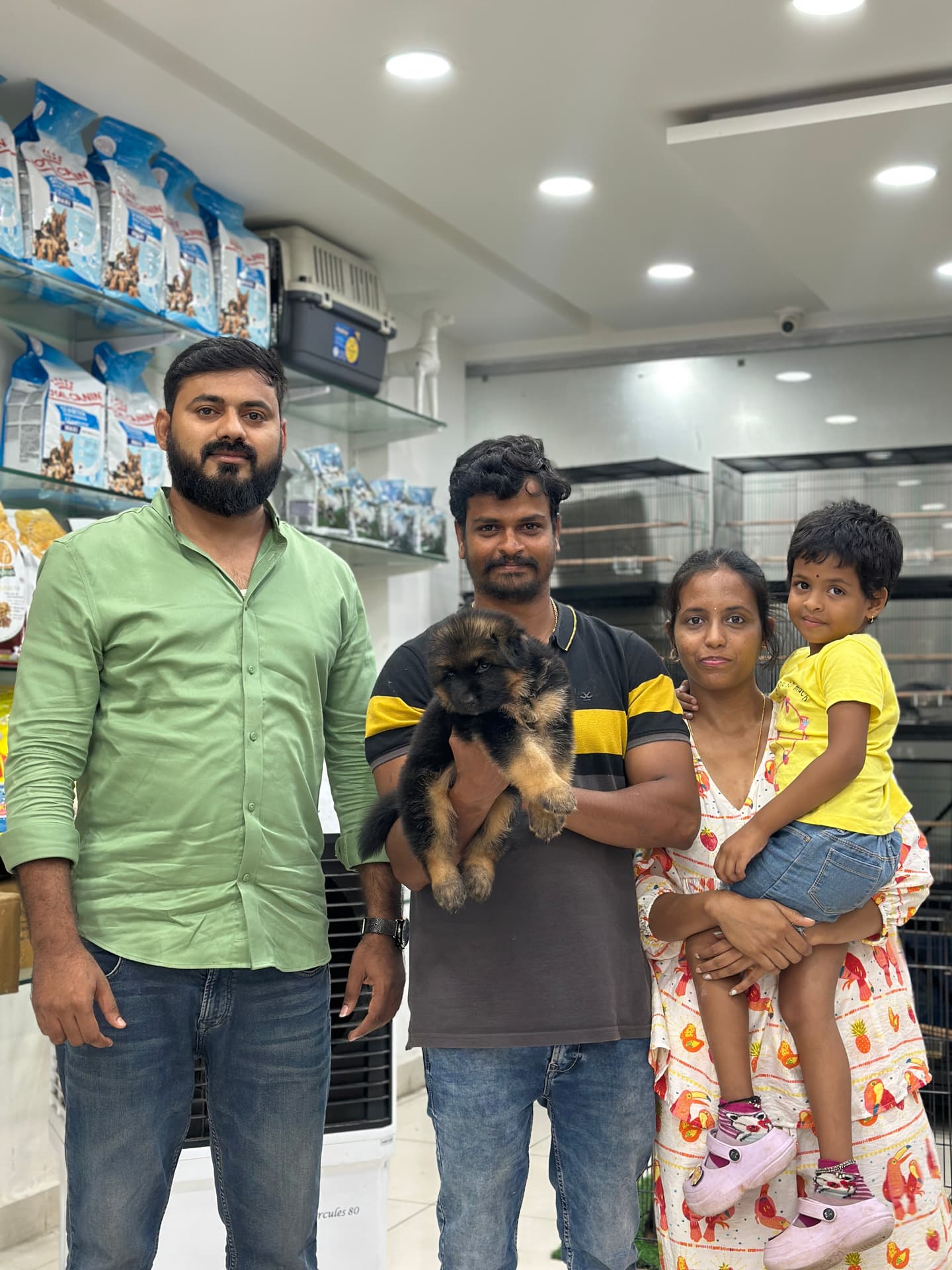 German Shepherd at Danny Pet Store - Photo 2