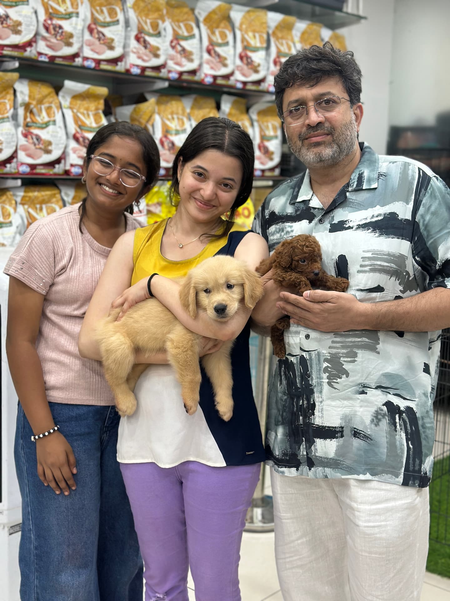 Golden Retriever at Danny Pet Store - Photo 9