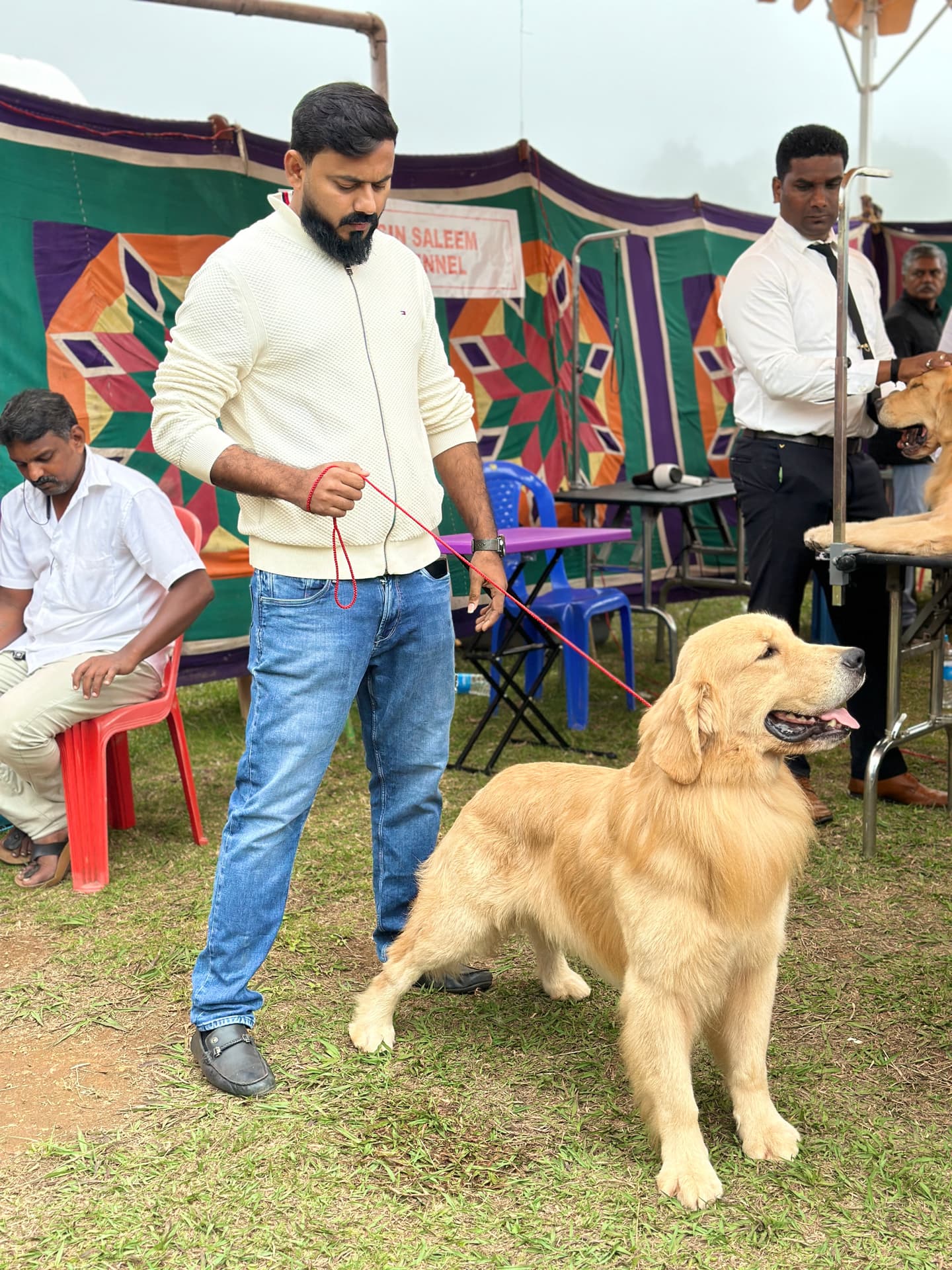 Golden Retriever at Danny Pet Store - Photo 1