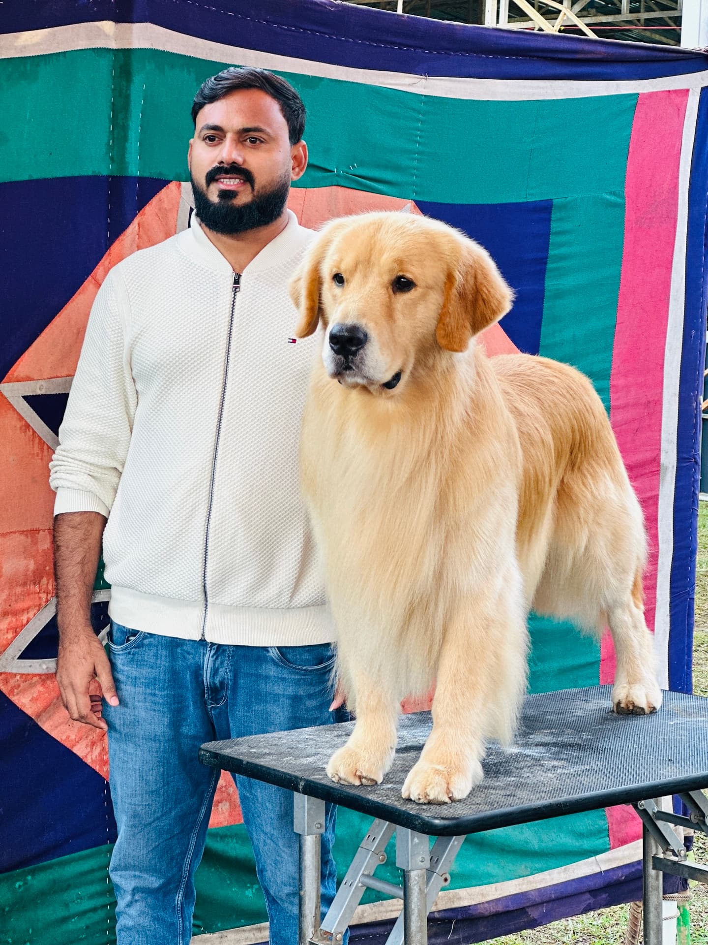 Golden Retriever at Danny Pet Store - Photo 11