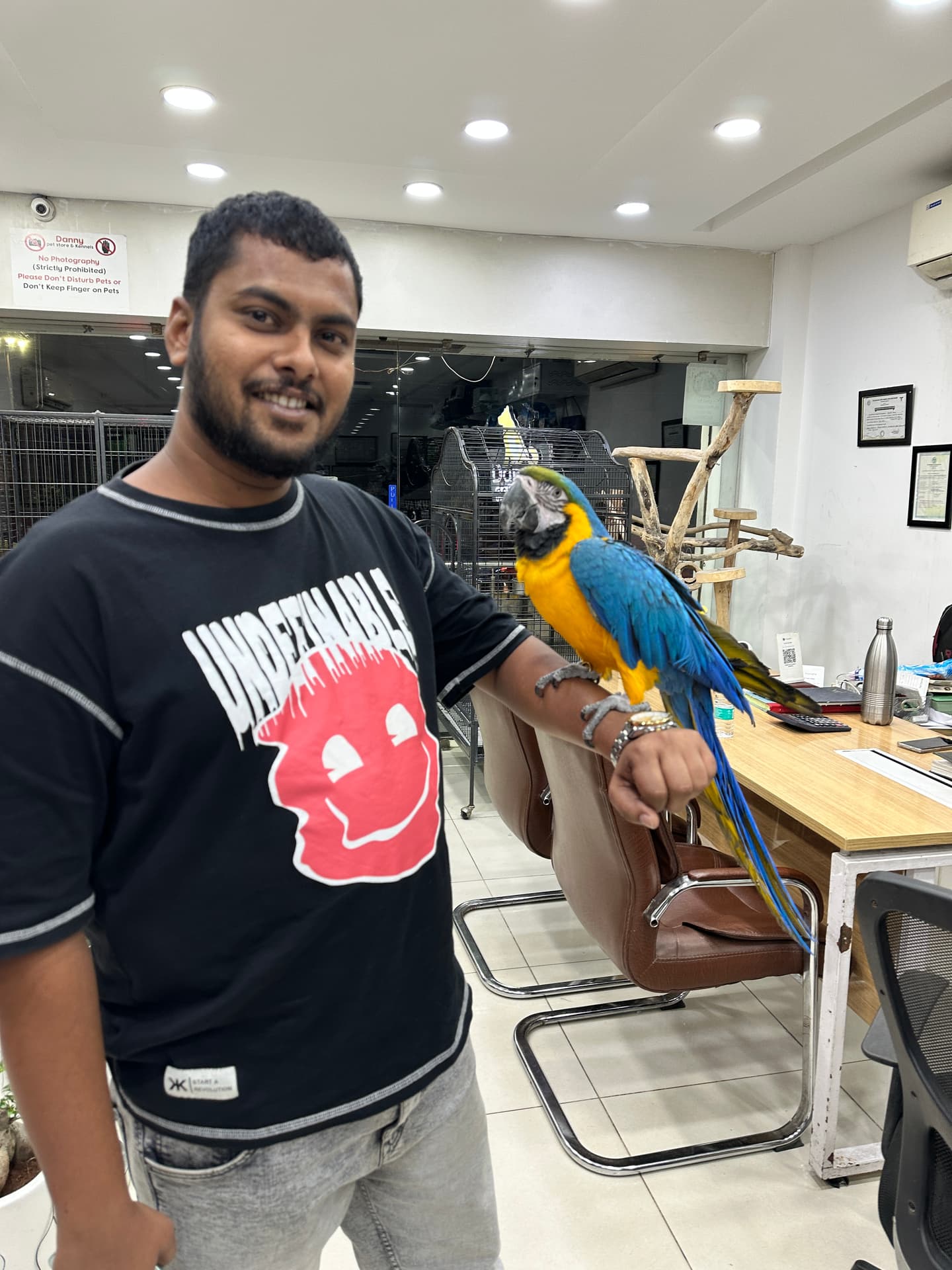 Macaws at Danny Pet Store - Photo 3
