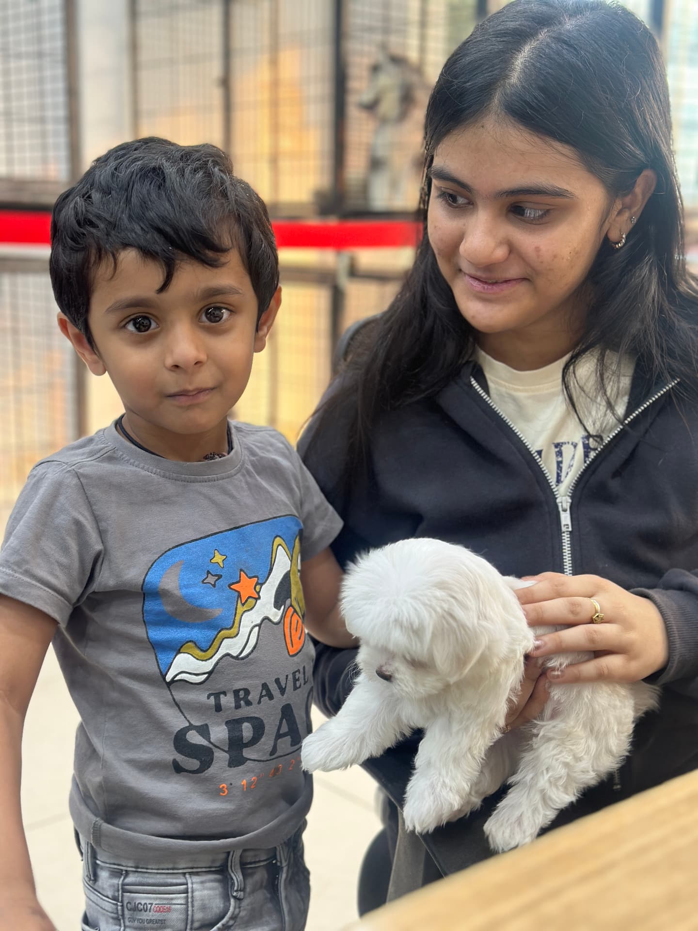 Maltese at Danny Pet Store - Photo 3