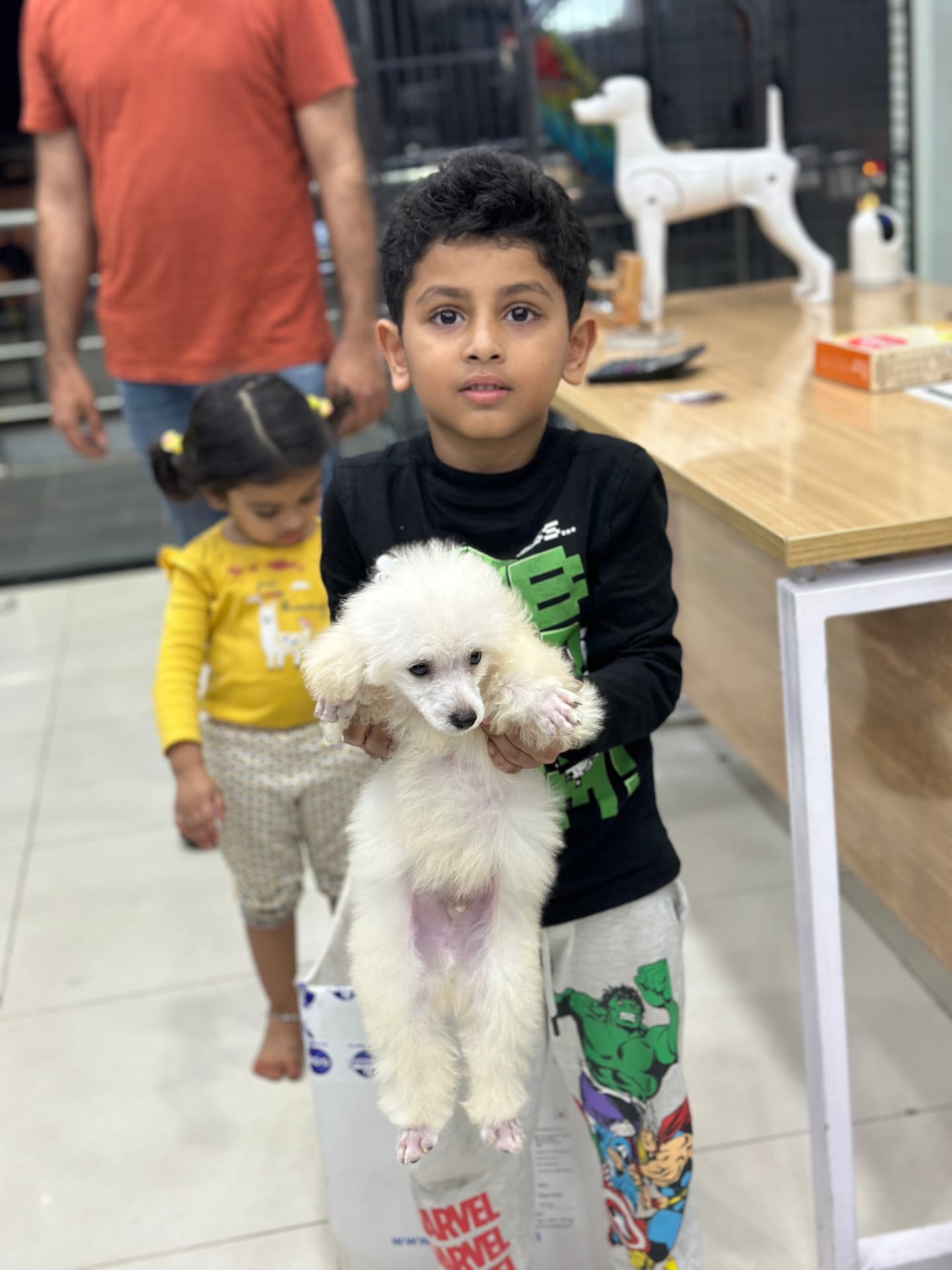 Poodle at Danny Pet Store - Photo 16
