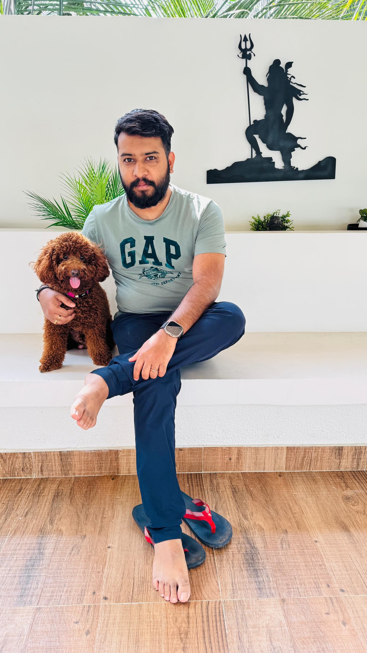 Poodle at Danny Pet Store - Photo 13