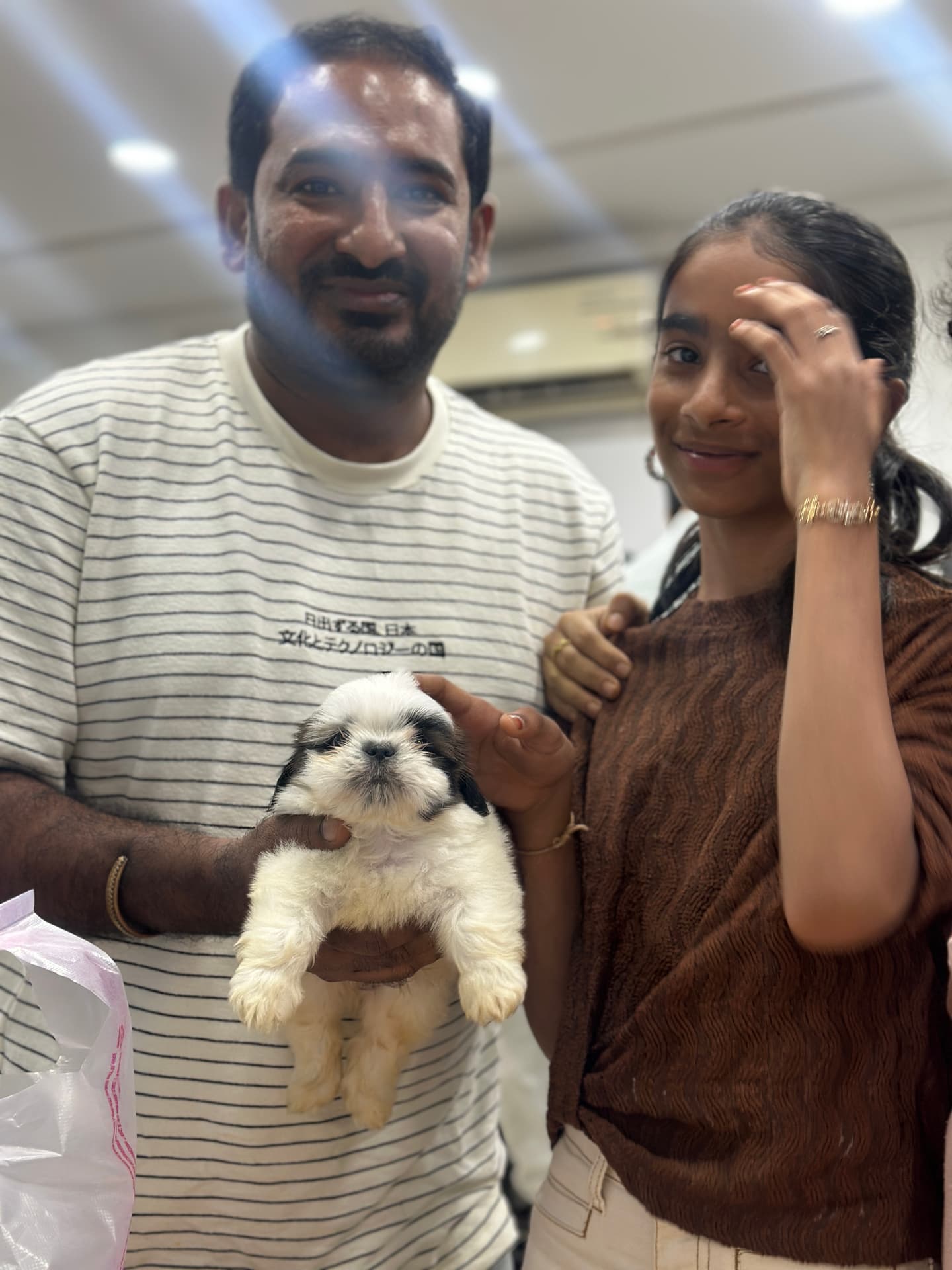 Shih Tzu at Danny Pet Store - Photo 2