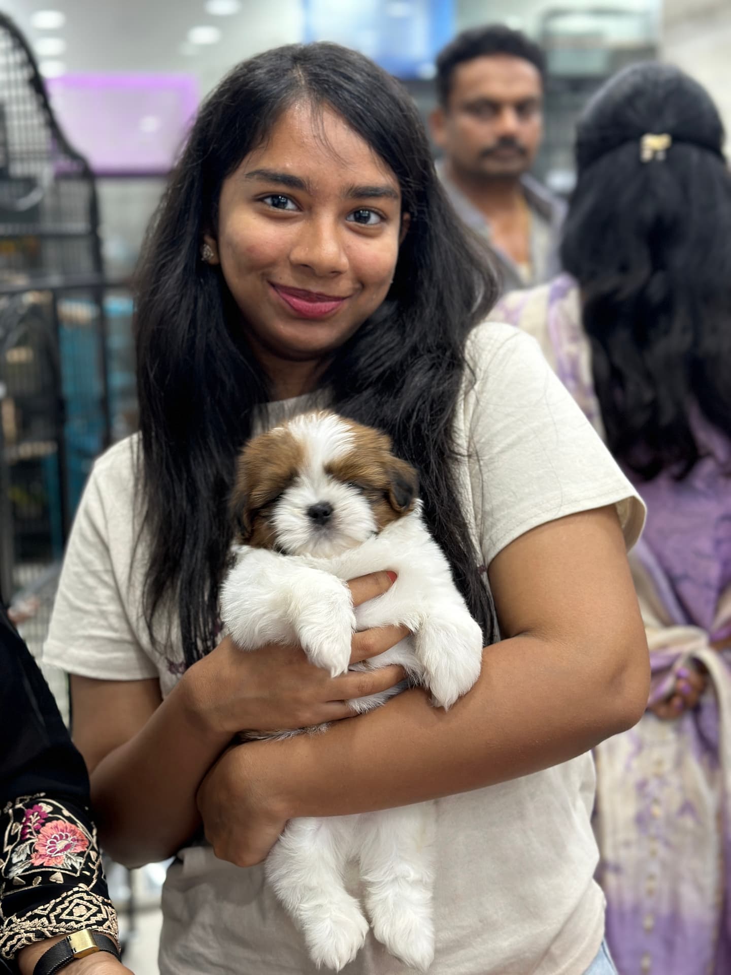 Shih Tzu at Danny Pet Store - Photo 6