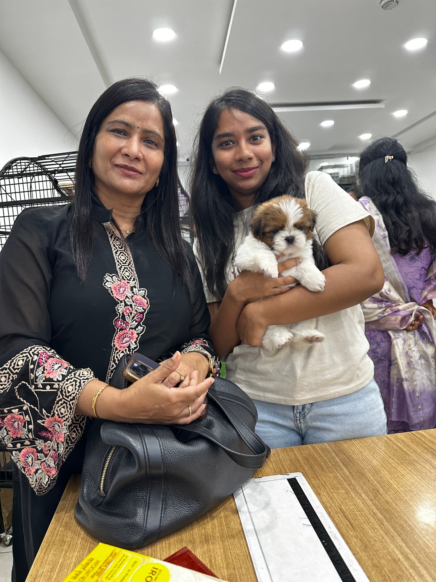 Shih Tzu at Danny Pet Store - Photo 3