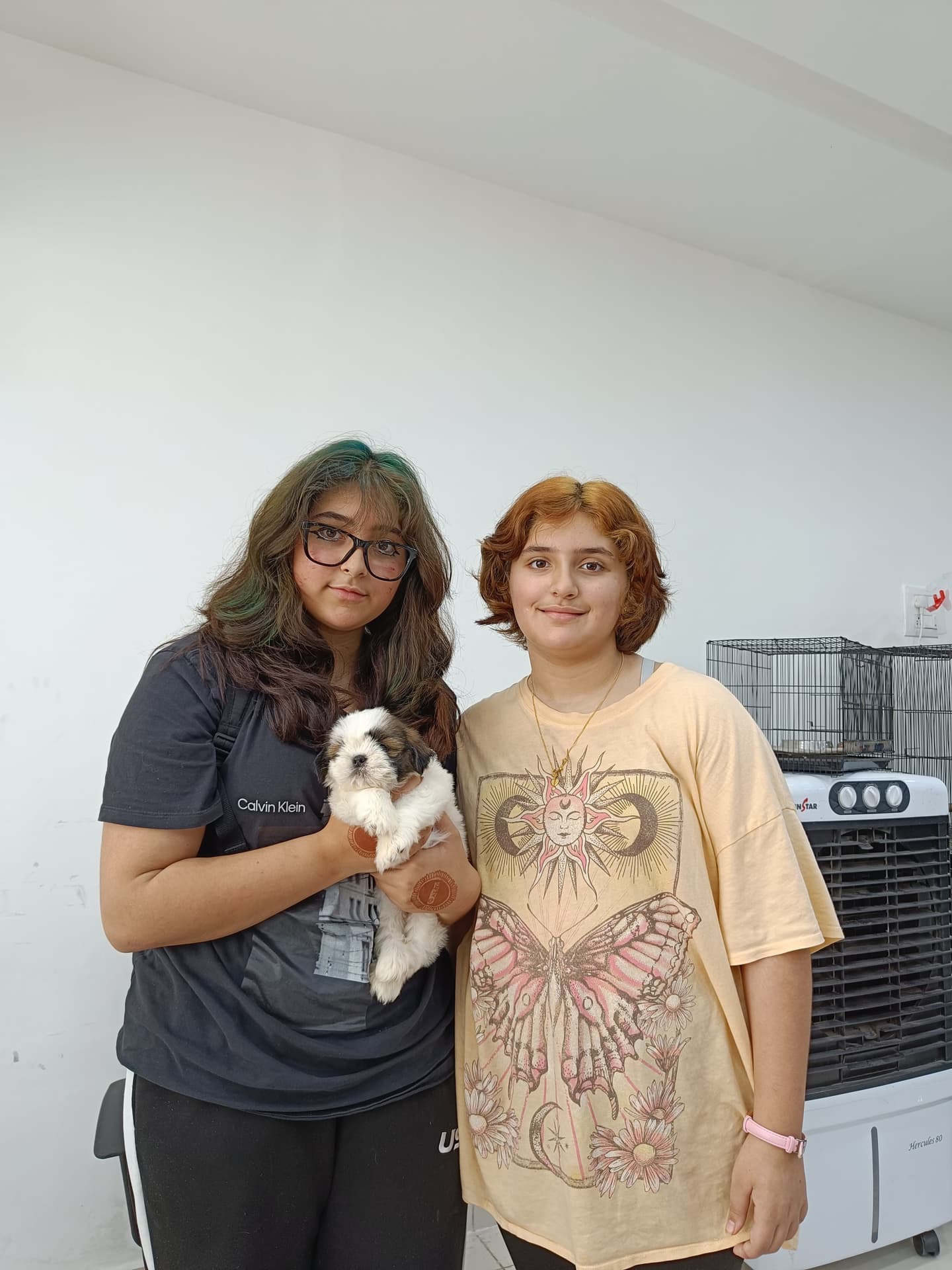 Happy Danny Pet Store family