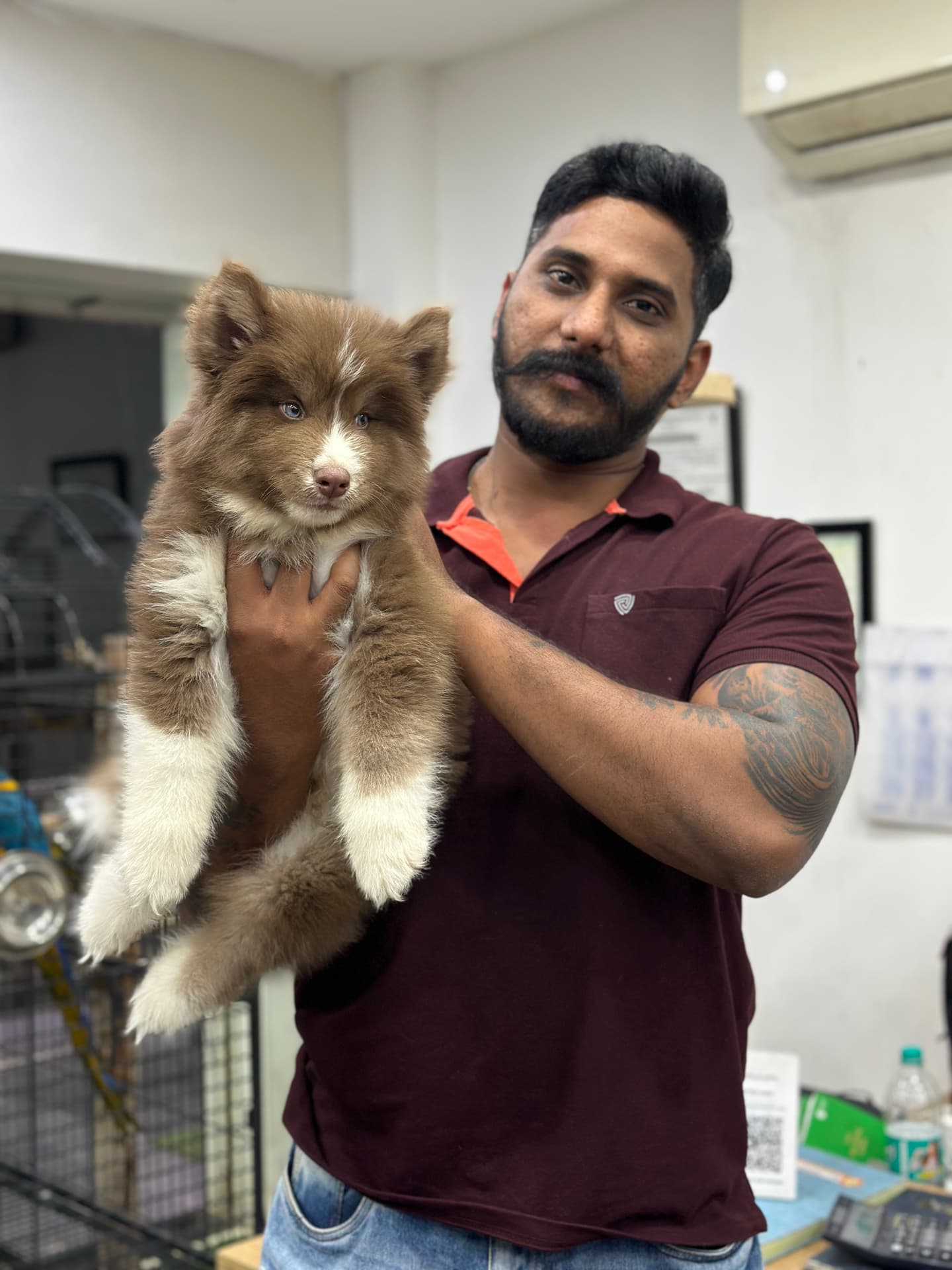 Happy Danny Pet Store family