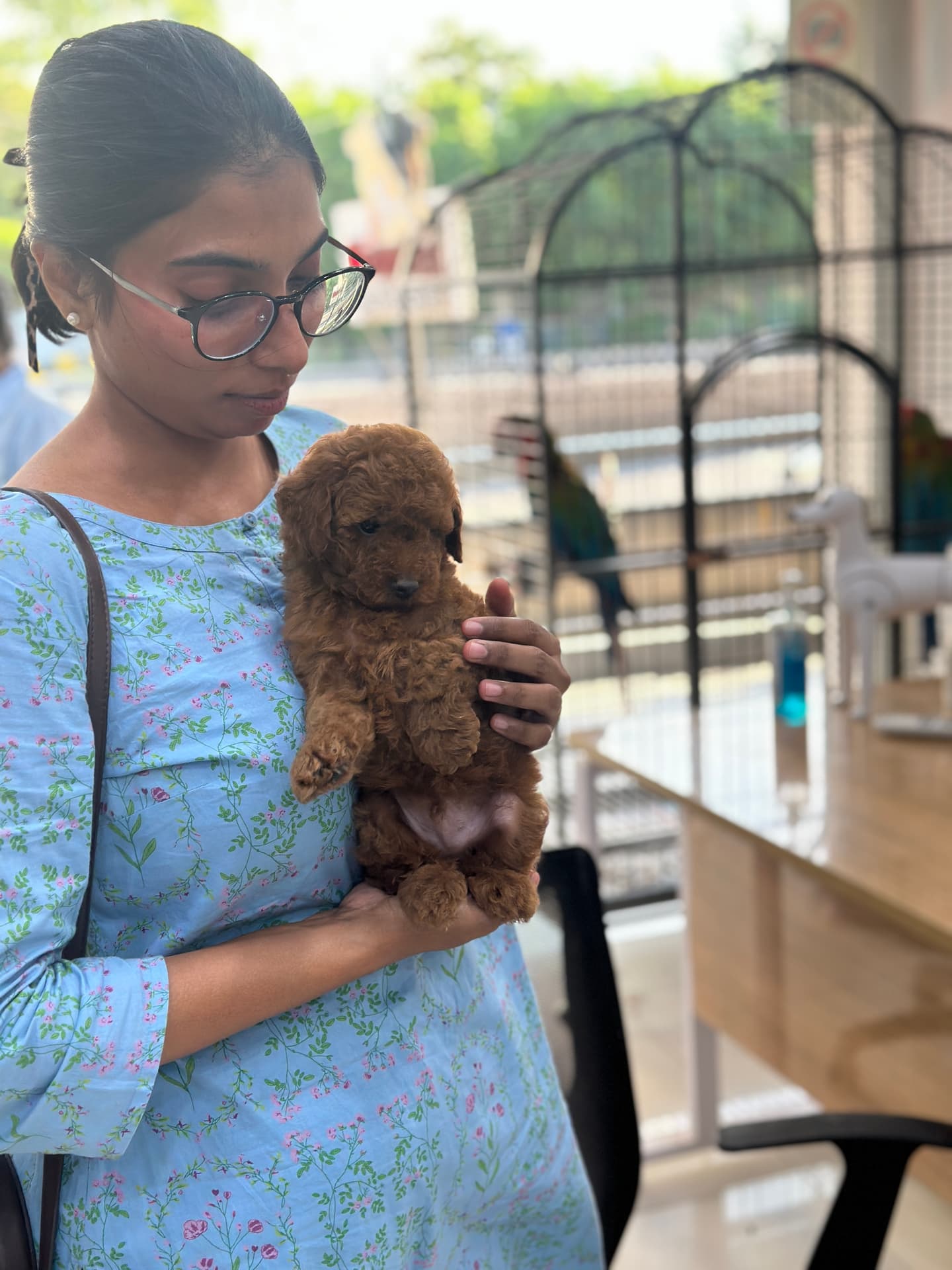 Happy Danny Pet Store family