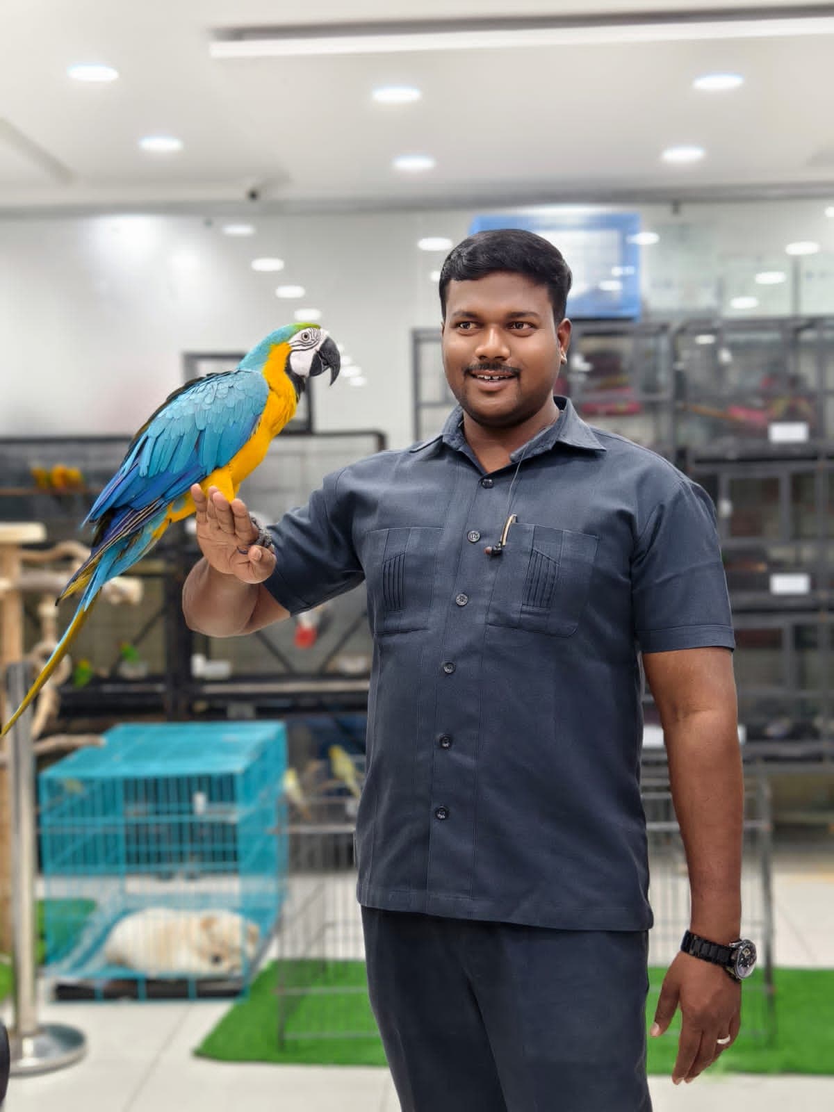 Happy Danny Pet Store family