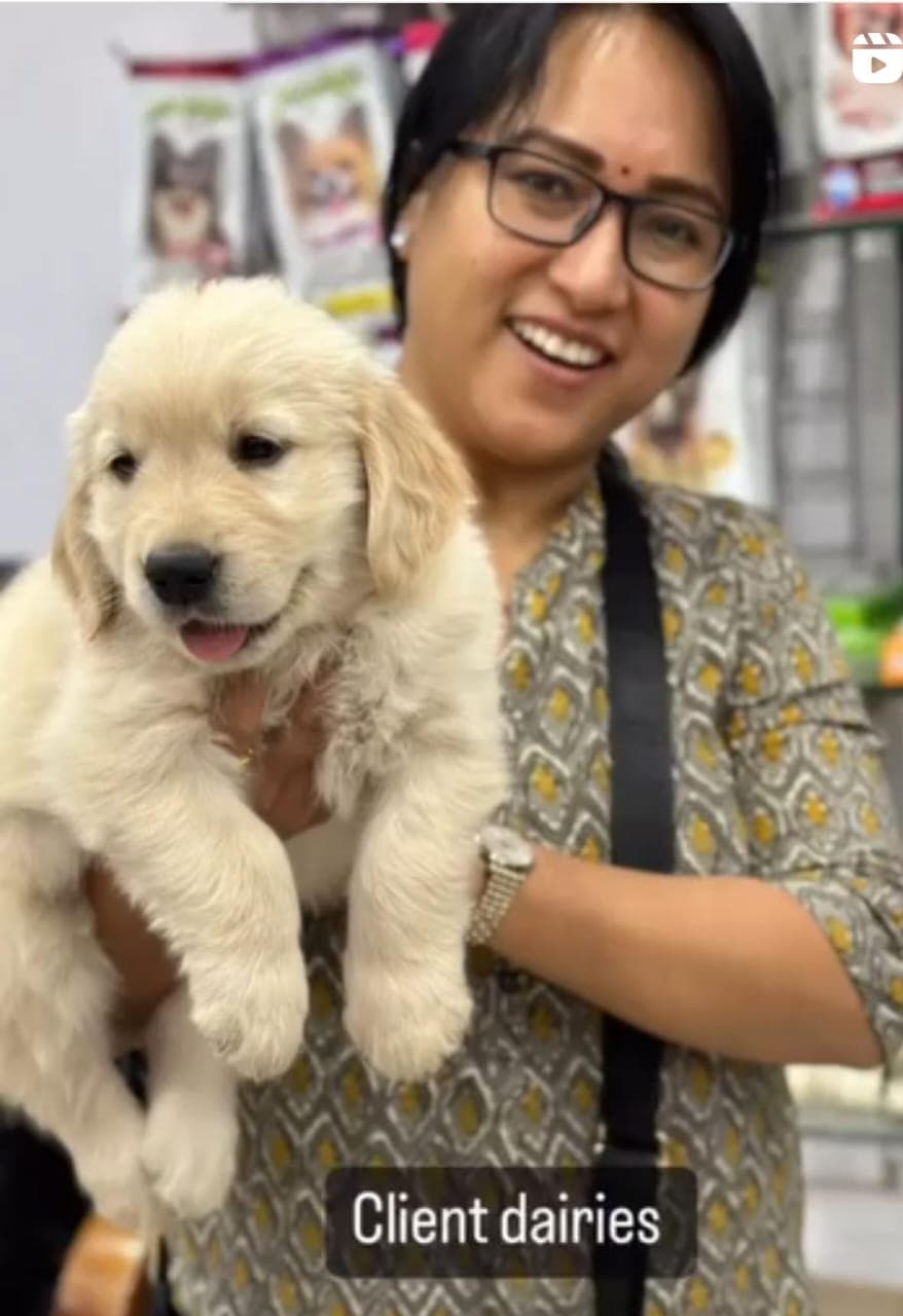 Happy Danny Pet Store family