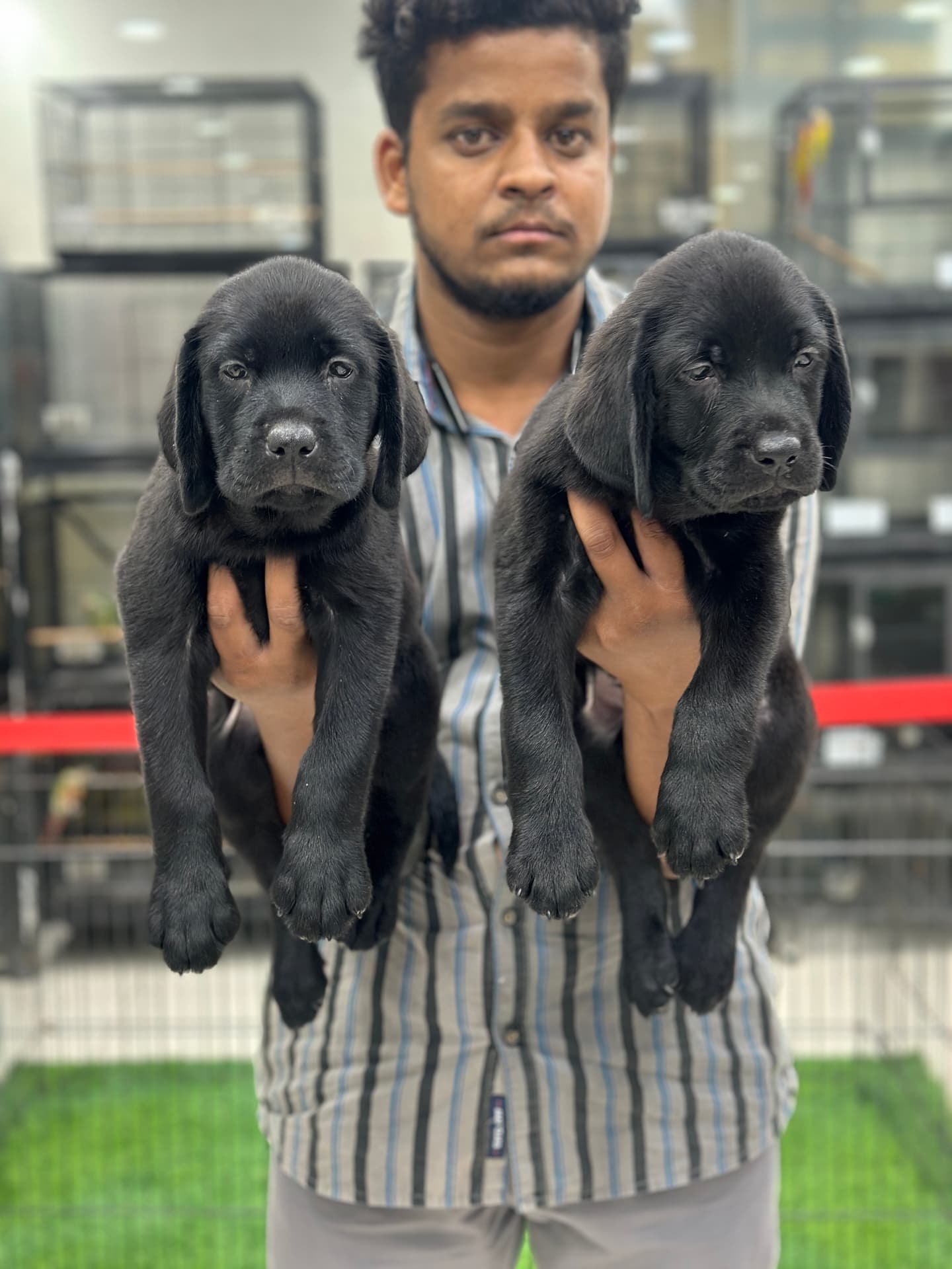 Happy Danny Pet Store family