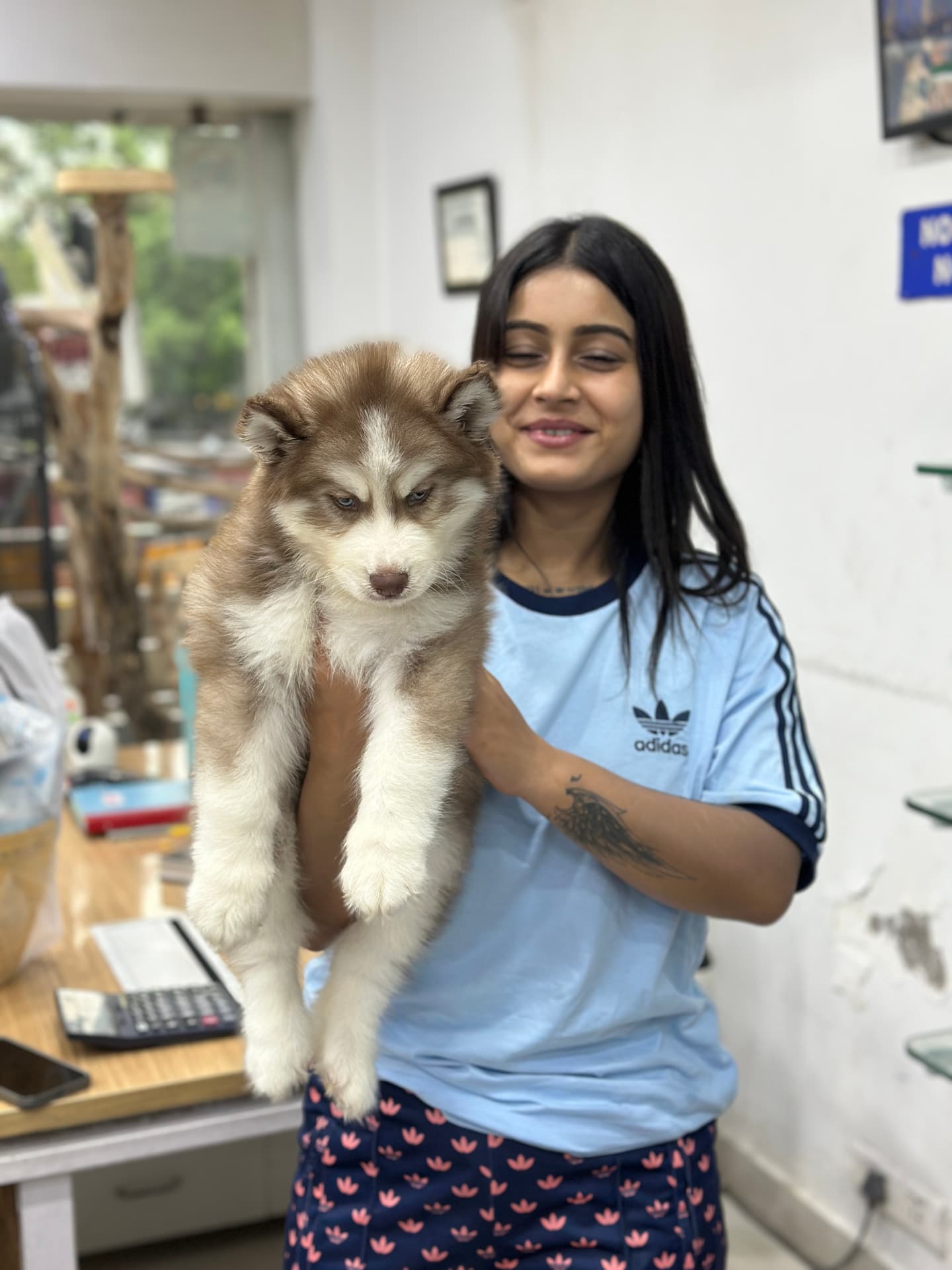 Happy Danny Pet Store family