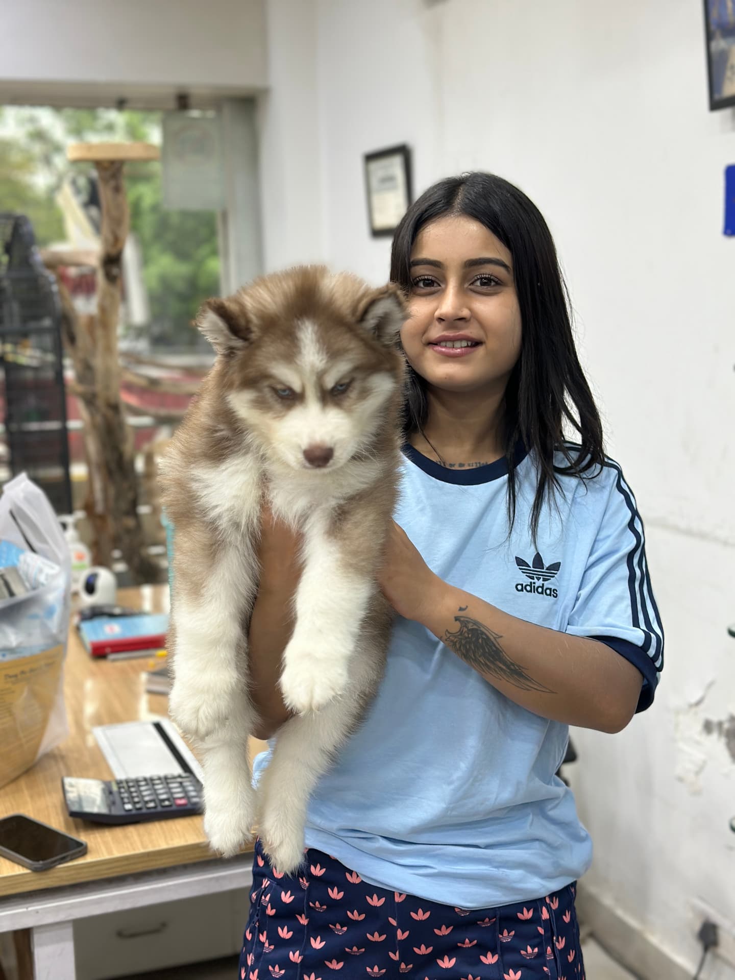 Happy Danny Pet Store family