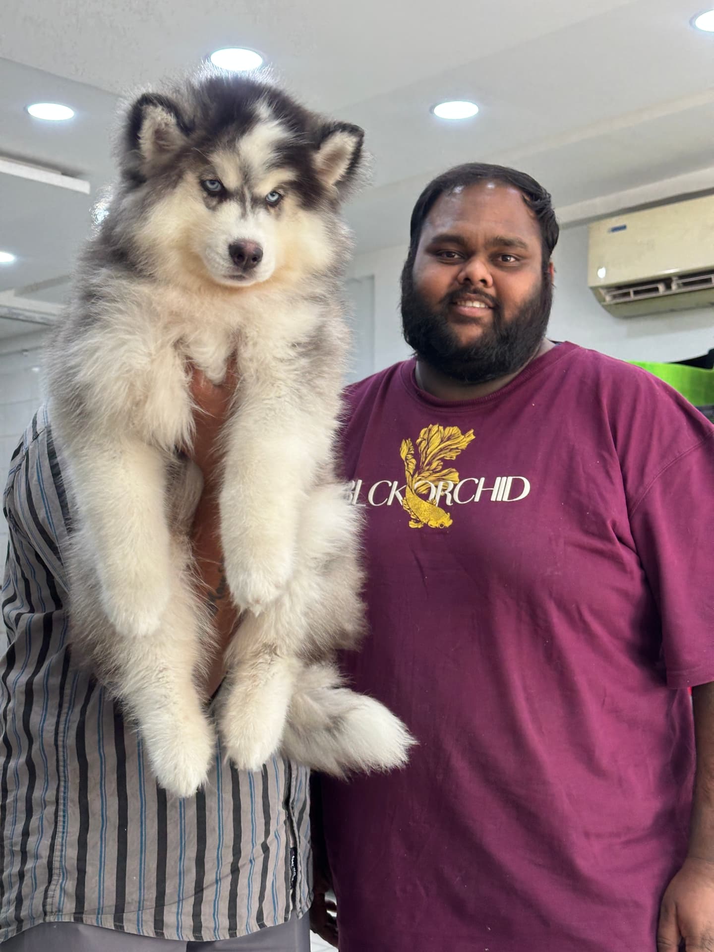 Happy Danny Pet Store family