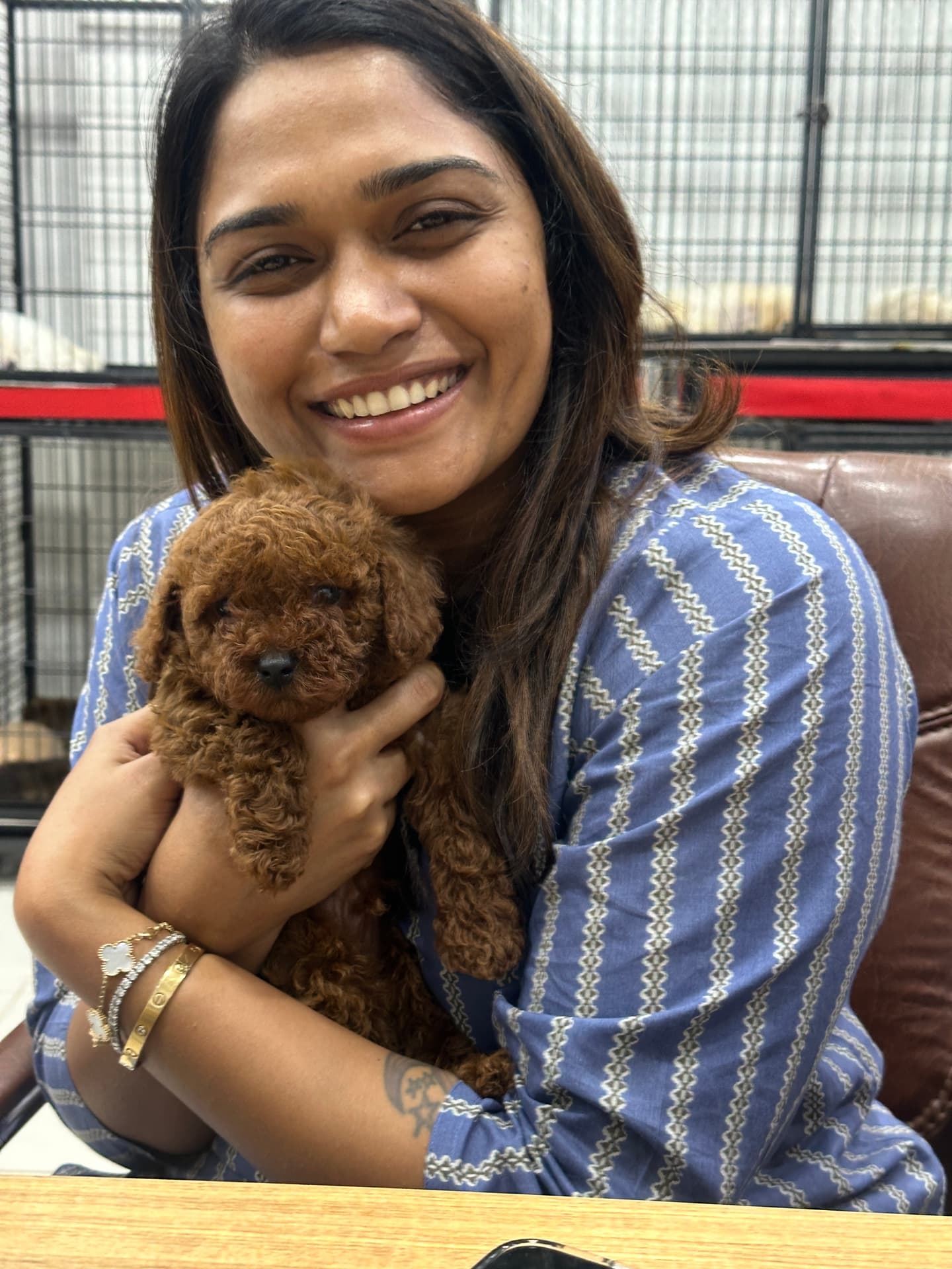 Happy Danny Pet Store family