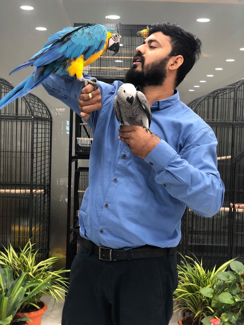 Danny Pet Store interior